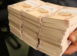 TL'nin uluslararası ödemelerdeki payı artıyor