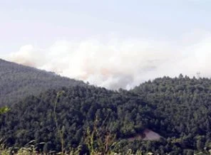 Yenice'deki yangın kontrol altında