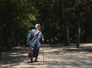 Abdullah Cömert'in fidanı hâlâ Gezi'de