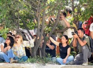 AK Parti eylemcilerle görüşmek için 'Akil Heyeti' kuracak