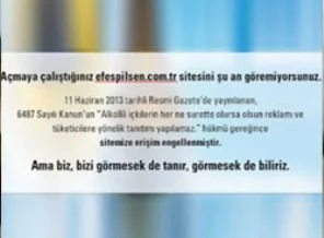 Alkol firmaları internet sitelerini kapatmaya başladı