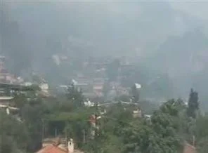 Aydın'da korkutan orman yangını