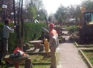 Belediye parktaki ağaçları kesti