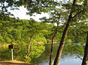 Belgrad Ormanları'na da rezidans yapılacak