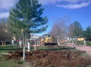 CHP'li belediyeden ağaç katliamı
