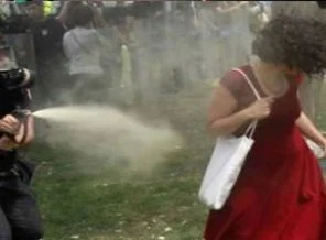 CHP'nin 'Gezi' önerisi reddedildi