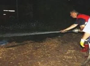 Cunda'da korkutan yangın
