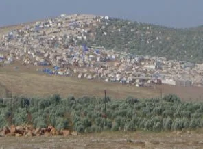 'Direnecek gücü olmayan' kent: Reyhanlı