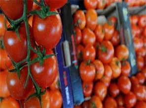 Domatesin fiyatı Ramazan'da düşecek
