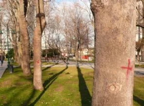 Gezi'de Kandil simidi dağıtılacak