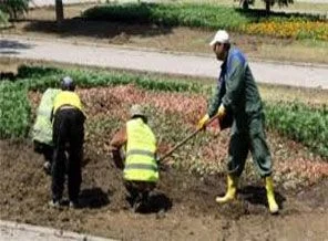 Gezi Parkı'ndaki ağaçlandırma ve çiçek dikimi çalışmaları sürüyor