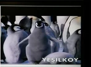 Halk TV'den Erdoğan'ın dönüşü yerine penguen belgeseli