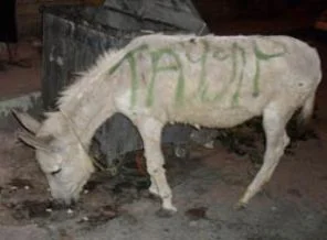 Hataylı Şebbihalardan çirkin eylem