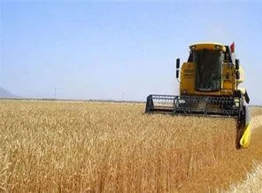 Hububat alım fiyatları açıklandı
