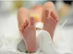 İngiltere'den üç ebeveynli tüp bebek tekniğine onay