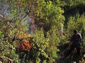 Kastamonu'da orman yangını
