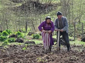 Kırsal nüfus yaşlanıyor