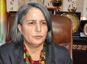 Kışanak: Süreci provoke etmek isteyenler ortadır