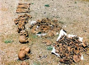 Kürt ailelerin toplu mezar acısı