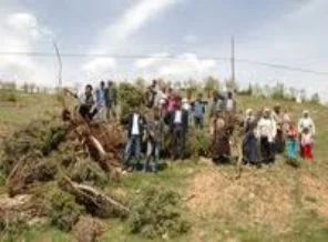 Malatya'da ağaç kıyımına tepki
