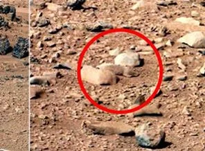 Mars'ta 'fare' mi bulundu?