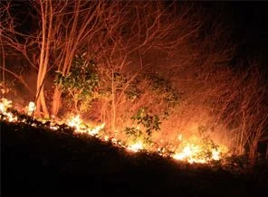 Meteorolojiden 'orman yangını' uyarısı