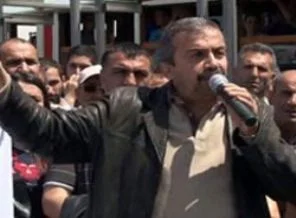 Mülkiye Müfettişleri Sırrı Süreyya Önder'i dinleyecek