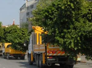 Ortalığı karıştıran fotoğrafların sırrı çözüldü