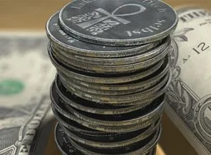 Özelleştirme İdare Başkanlığı satış yaparak doları düşürdü