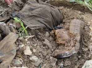 PKK'lılara ait toplu mezar iddiası