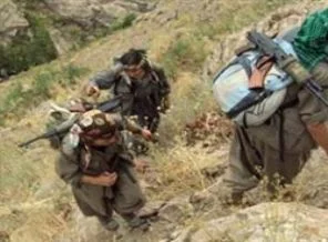 PKK'lıların yarısından fazlası gitti