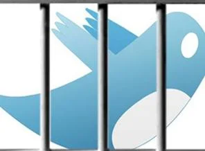 'Rejim değişikliği tweet'i 11 yıl hapis getirdi