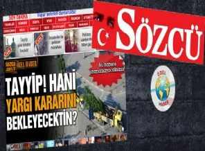 Sözcü'yü rezil edecek ağaç haberi
