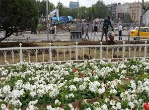 Taksim'e 29 ağaç daha dikildi