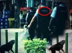 Taksim Gezi Parkı üzerinden siyasetin dizaynı