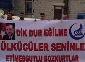 Ülkü Ocakları: Kemik Yalayacıları