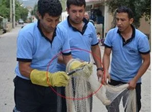Yılandan bakın ne çıktı?