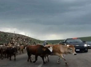 'Yolumuzu hep insanlar kesmedi'
