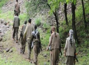 8 PKK'lı teslim oldu