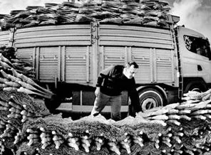 ABD, en iyi Türkiyeli fotoğrafçıları seçti