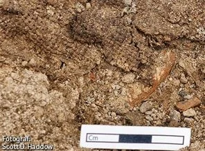 Anadolu'nun en eski kumaşı Çatalhöyük'te bulundu