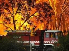 Antalya'da çıkan orman yangını kontrol altına alındı