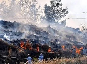 Balıkesir'deki orman yangını hala sürüyor