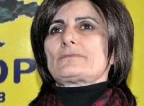 BDP'li Birtane: Adem, tüfeği ile araç içerisinde kendisini nasıl vurabildi?