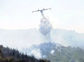 Bergama'da orman yangını