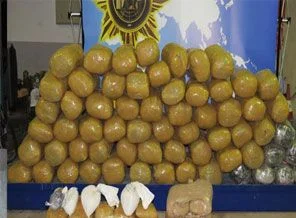 Bir ton 50 kilo esrar ele geçirildi