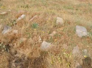 Bitlis'te toplu mezar bulundu