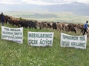 Çılgın projelere meralarla destek
