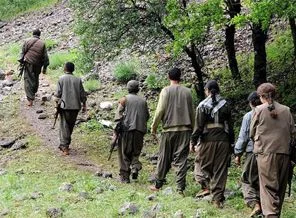 Dengir Mir Mehmet Fırat: Sürecin hızlanması için erken seçim lazım