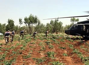 Diyarbakır Lice'de uyuşturucu operasyonu